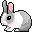 :hase: